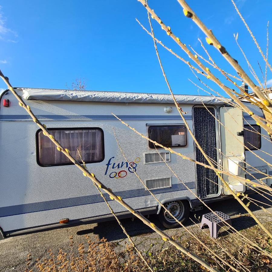 Louise'S Camper Otel Neusiedl an der Zaya Dış mekan fotoğraf